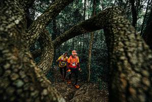 BIB: 
                            <button type="button" onclick="openModal(25675996)" class="btn btn-primary btn-sm float-right btn-popup" data-toggle="modal" data-target=".modal-high-quality">
                        <i class="fas fa-shopping-cart"></i> Add to Cart
                    </button>
                                            <button type="button" onclick="isThisMe(25675996, true)" class="btn btn-success btn-sm float-right btn-popup btn-isme hidden" data-toggle="tooltip" data-placement="bottom" title="นี่คือรูปของคุณใช่ไหม คลิกที่นี่เพื่อเอาเข้าอัลบั้ม">
                        <i class="fas fa-plus"></i> Add to album
                    </button>
                    <button type="button" onclick="isThisMe(25675996, false)" class="btn btn-warning btn-sm float-right btn-popup btn-isnotme hidden">
                        <i class="fas fa-ban"></i> Remove from album
                    </button>